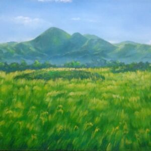 0.Landscape -Mountain