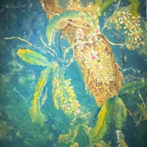 0. BT.26-02. Foxtail Orchid