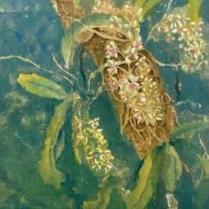 0. BT.26-02. Foxtail orchid